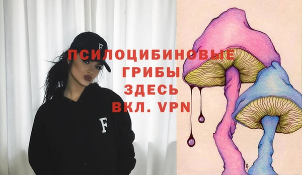 метадон Армянск